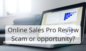 Online Sales Pro ReviewScam or opportunity-