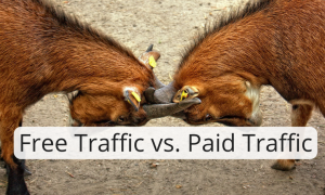 Free Traffic vs. Paid Traffic