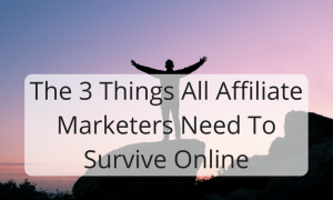 The 3 Things All Affiliate Marketers Need To Survive Online